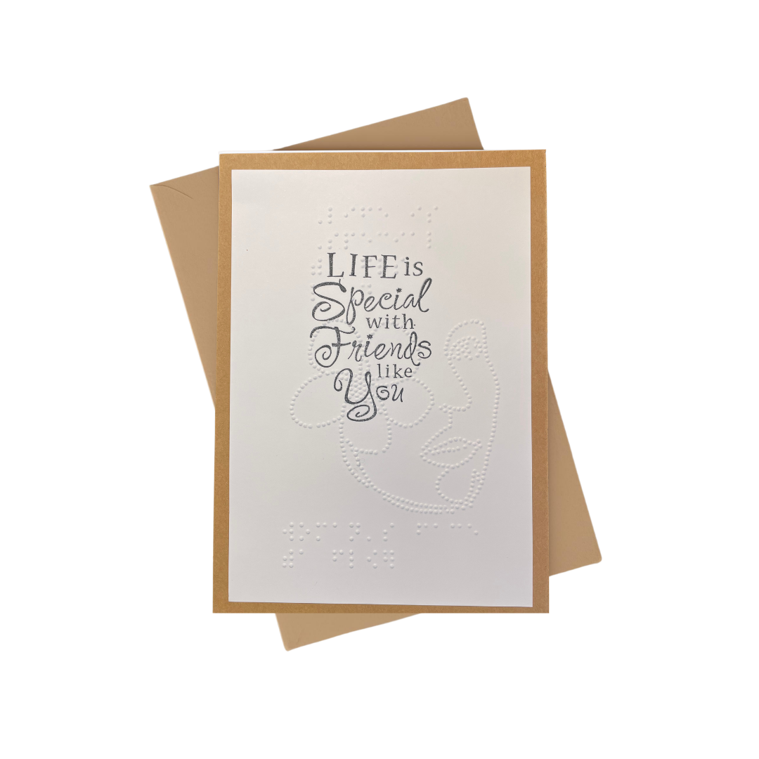 Braille Note Cards, Thank You, Birthday, Thinking of you, Friendship, Get Well Soon